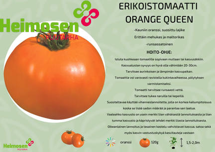 Orange queen