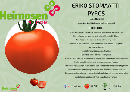 Pyros