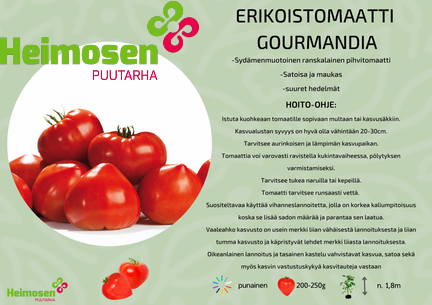 Gourmandia