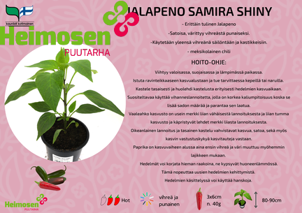 Jalapeno Samira shiny