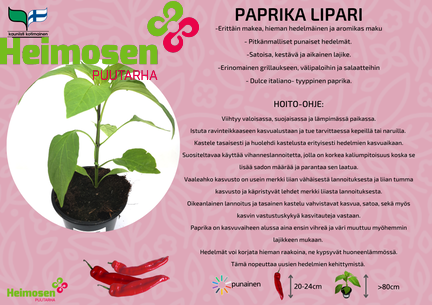 Paprika Lipari