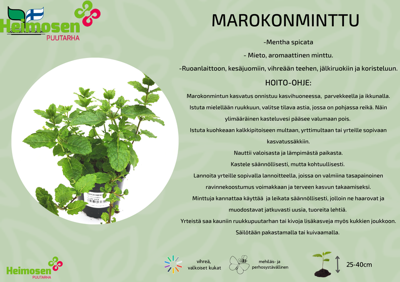 MArokonminttu.png