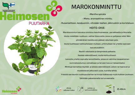 MArokonminttu