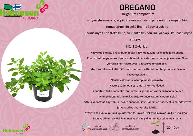 Oregano.png