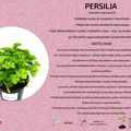 Persilja