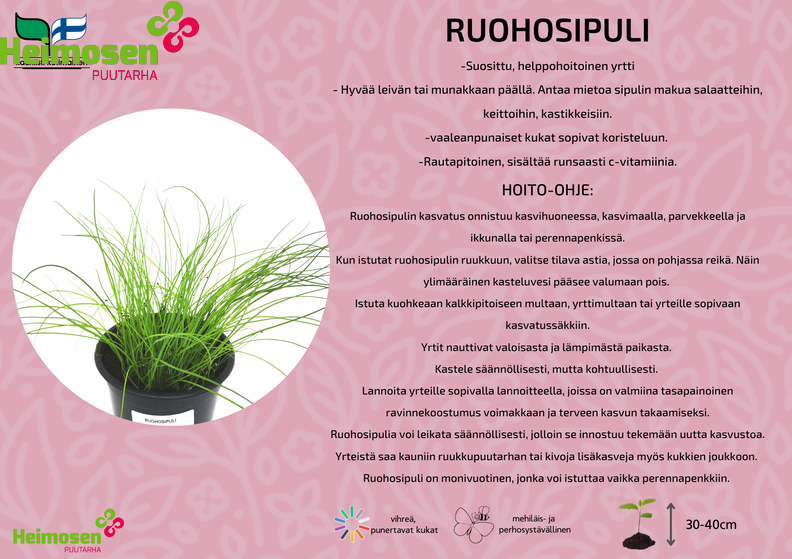 Ruohosipuli.png