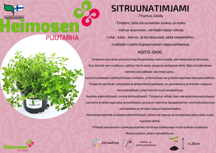 Sitruunatimjami