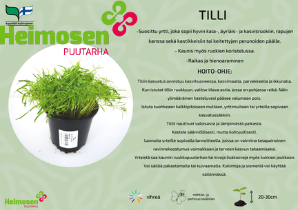Tilli