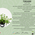 Timjami