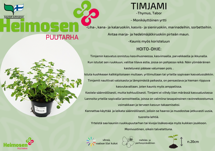Timjami