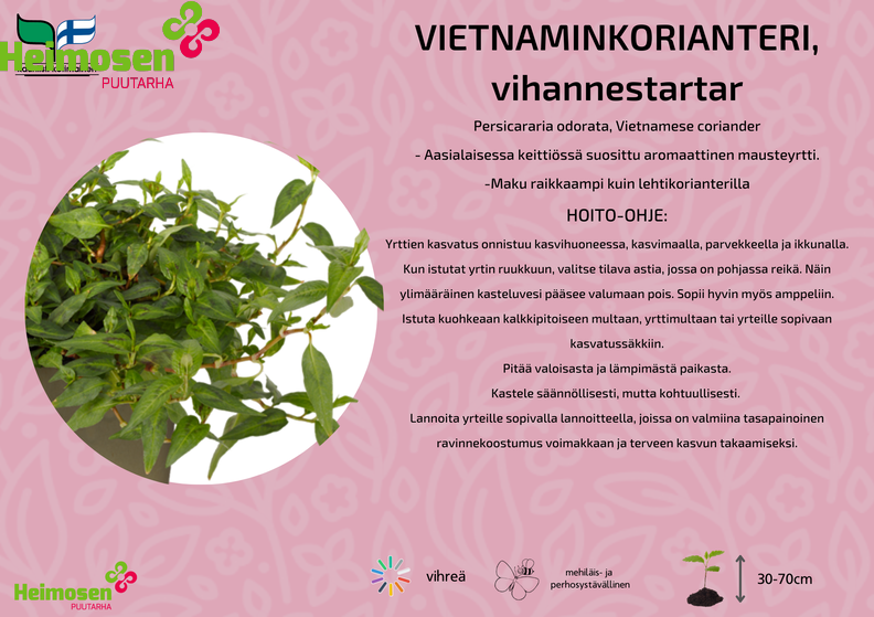 Vietnaminkorianteri.png