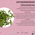 Vietnaminkorianteri