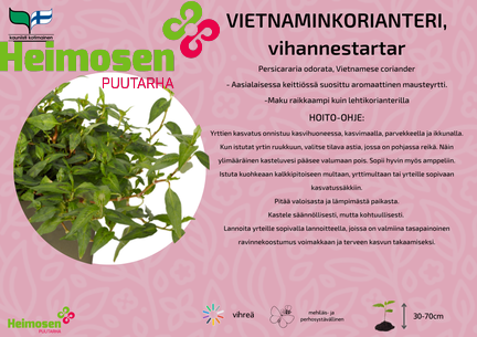 Vietnaminkorianteri
