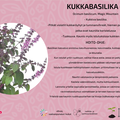 Kukkabasilika