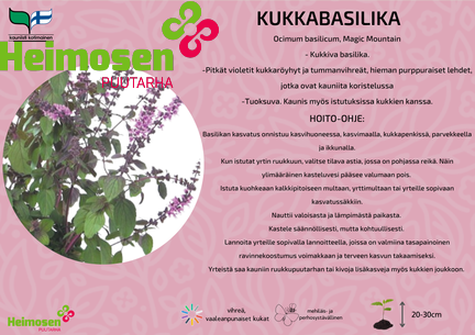 Kukkabasilika