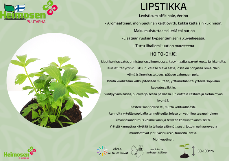 Lipstikka.png