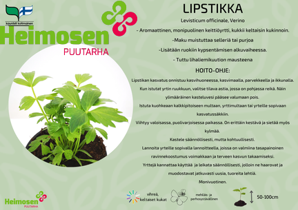 Lipstikka