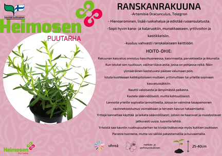Ranskanrakuuna