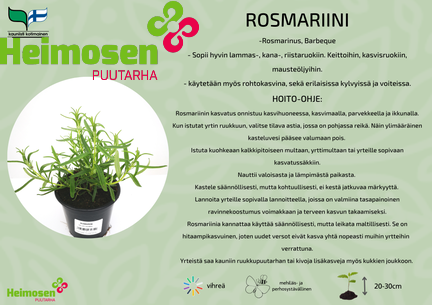 Rosmariini