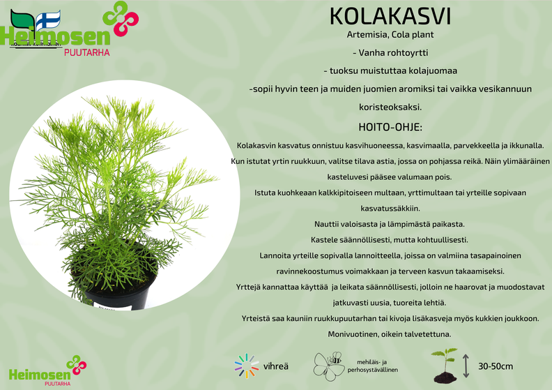 Kolakasvi.png