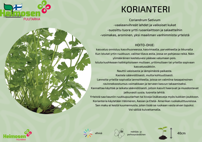 Korianteri.png