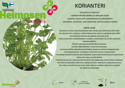 Korianteri