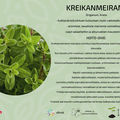 Kreikanmeirami
