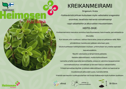 Kreikanmeirami