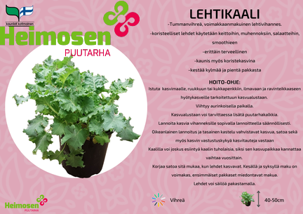 Lehtikaali