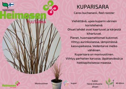 Kuparisara