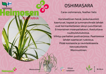 Oshimara Feather falls