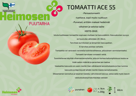 Ace 55
