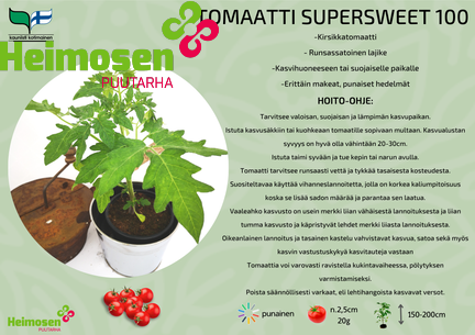 Supersweet 100