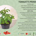 Primabell