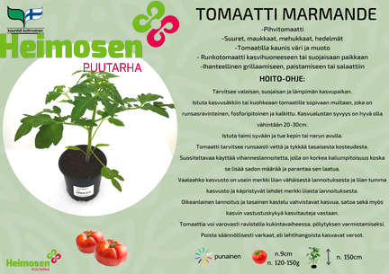 Marmande