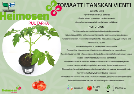Tanskan vienti