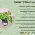 Tumbling Tom