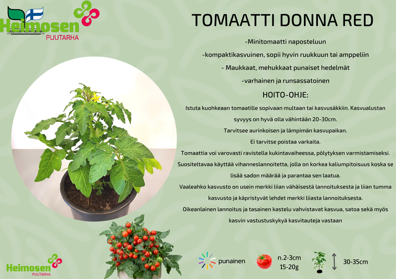 Donna red.png