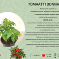 Donna red