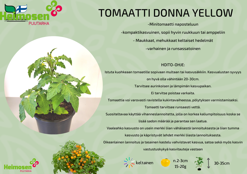 Donna Yellow.png
