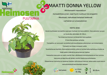 Donna Yellow