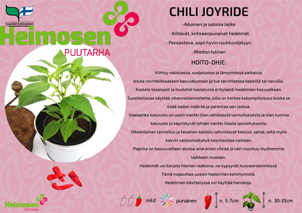 Chili Joyride