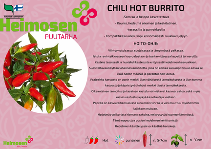 Chili Hot burrito
