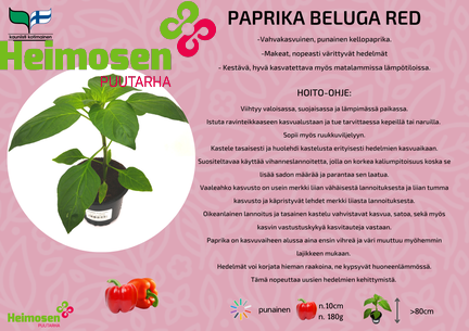 Paprika Beluga red