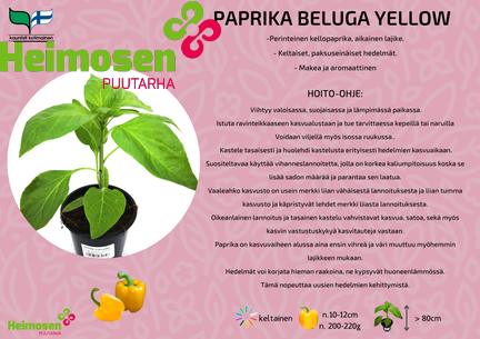 Paprika Beluga yellow