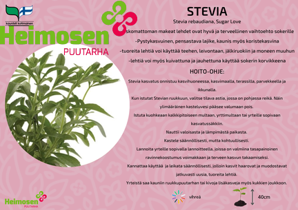 Stevia