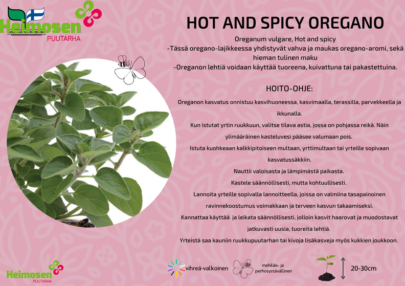 Oregano Hot and Spicy.png