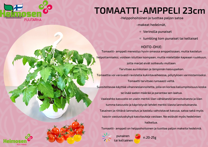 Tomaatti amppeli.png