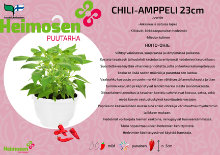 Chili amppeli