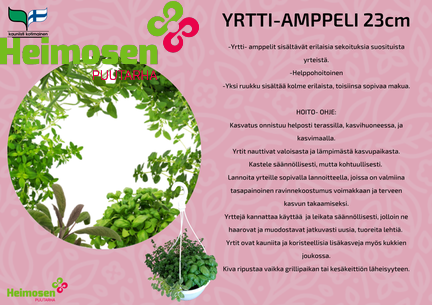 Yrtti amppeli